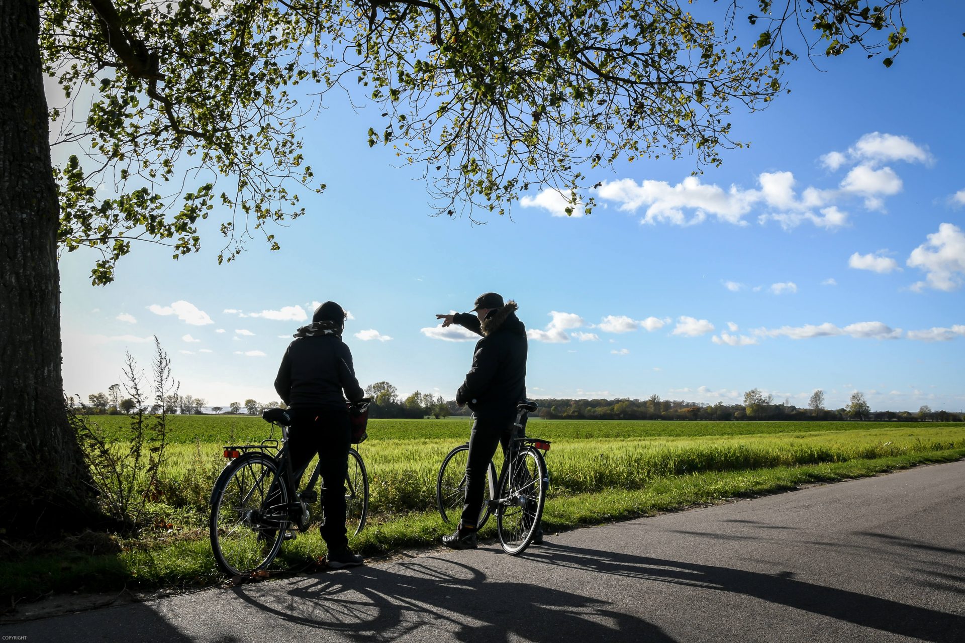 Rødvig Ferieby ligger ved Cykelruten N9, der er en populær rute, både blandt tyske og danske rejsende, som er vilde med at cykle. Læs mere om ruten på www.bike-berlin-copenhagen.com/da (foto: Lars Bo Axelholm/Turisme.nu)