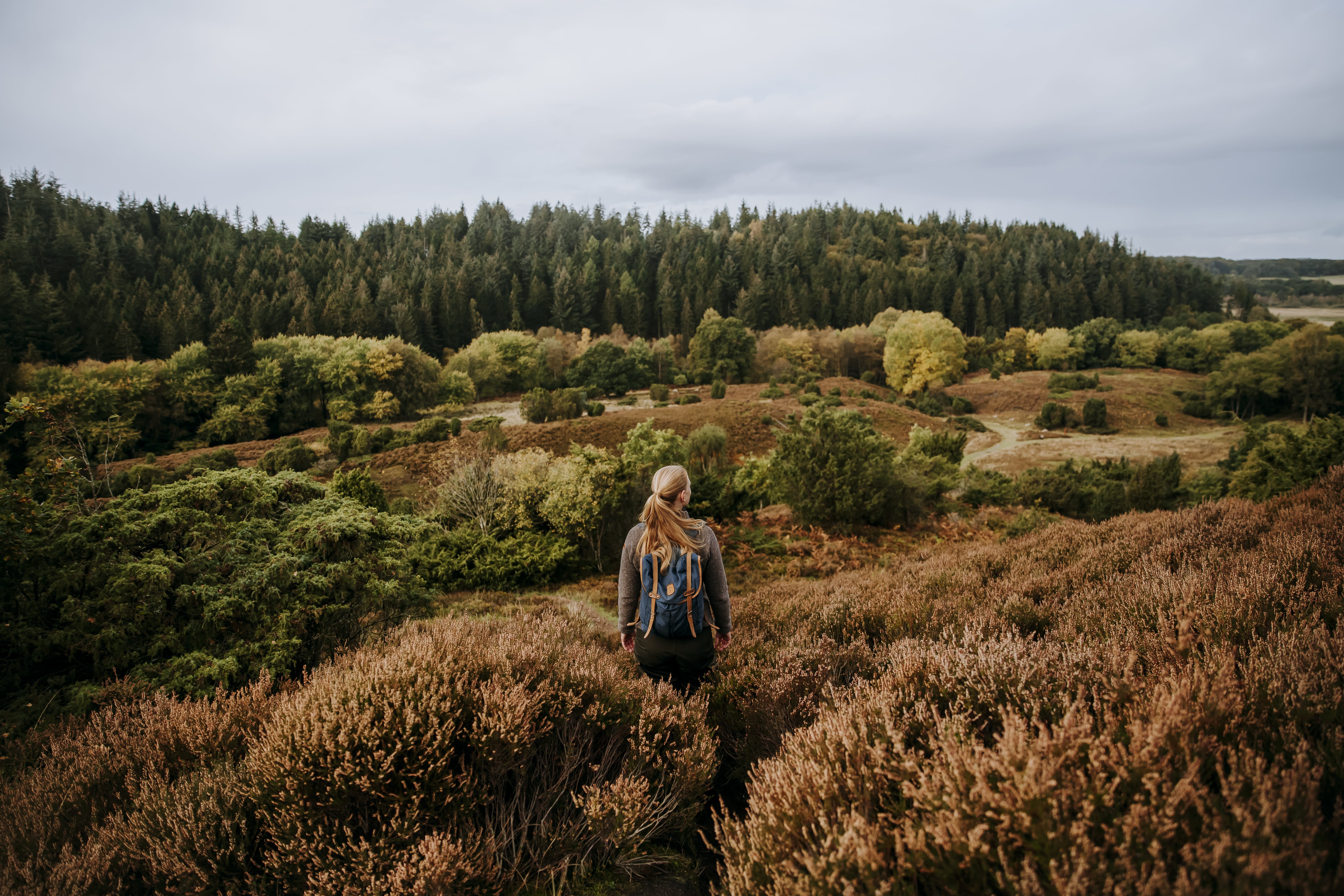 Rebild Bakker og Rold Skov danner rammen om Vandringsweekend i oktober. (Foto: Rebild Porten)