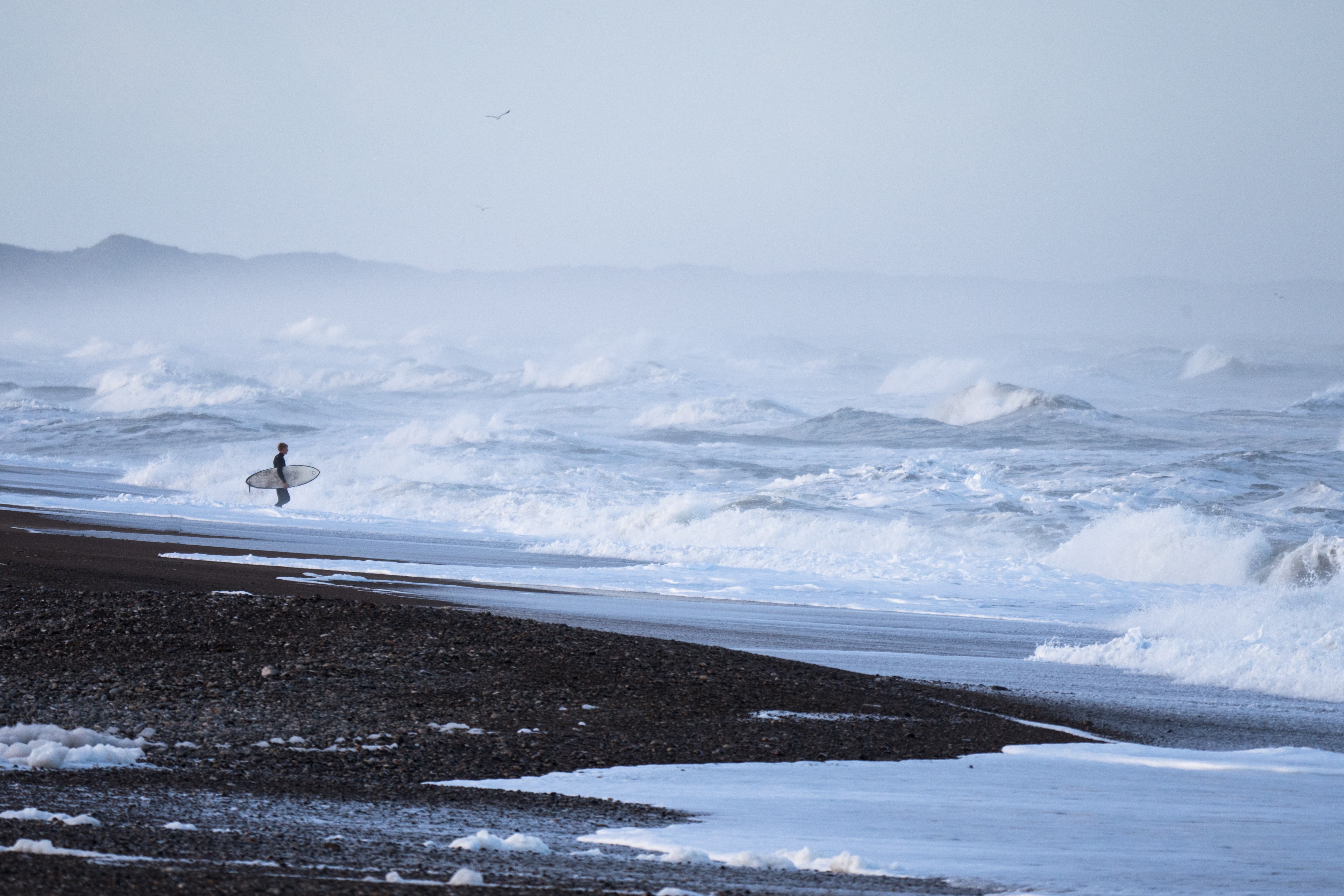 Forskerne skal bl.a. besøge Cold Hawaii. (Arkivfoto: Oliver Raatz)