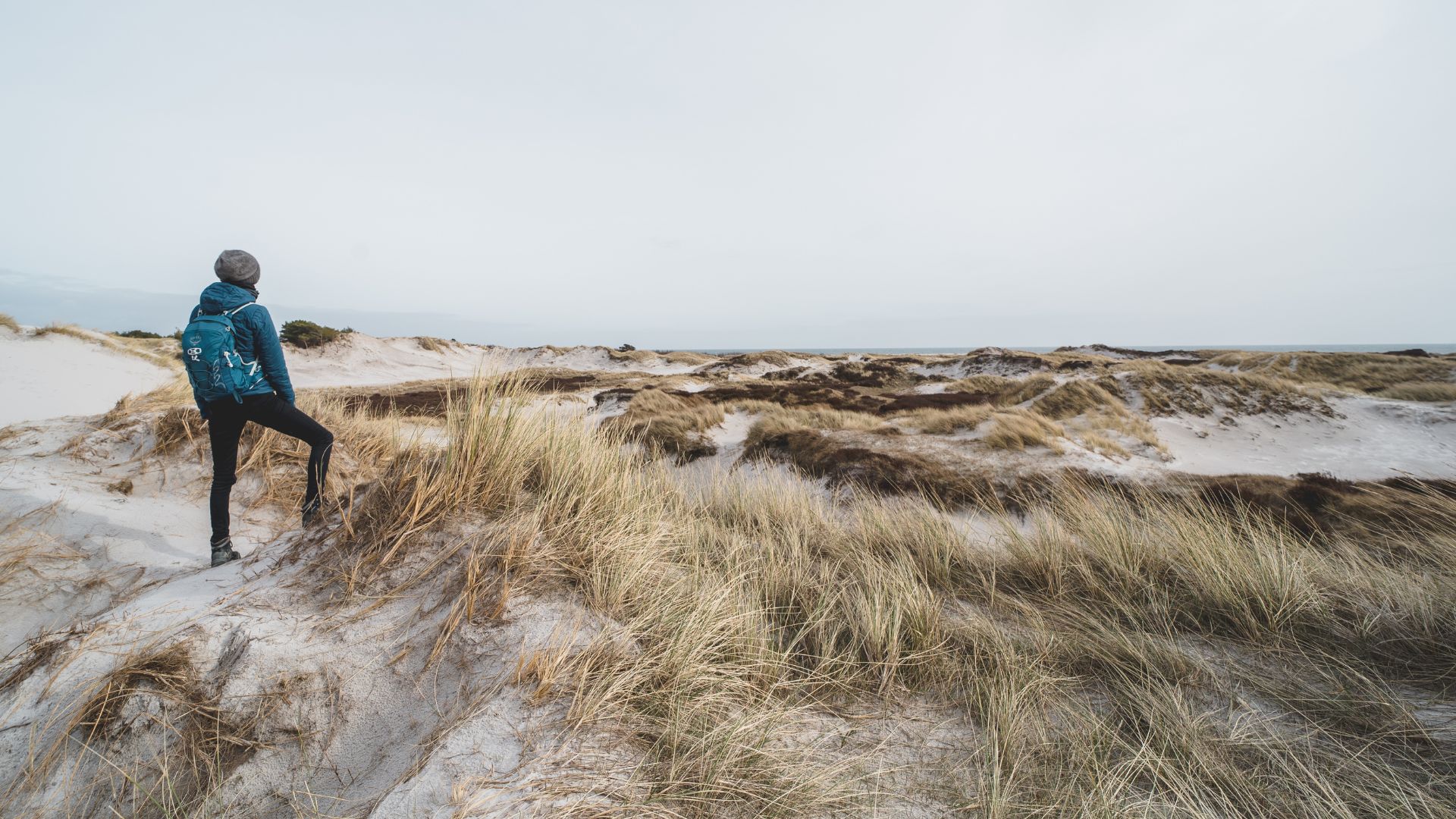 Dueodde Strand. Foto: Stefan Asp/Destination Bornholm
