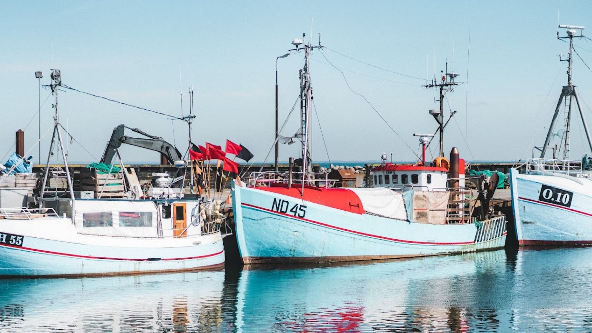 Det amerikanske rejsemagasin Afar fremhæver de nordsjællandske kyster som et af de bedste rejsemål i 2025. (Foto: Nicolai Danielsen/VisitNordsjælland)